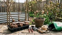 Frostharte Obstsorten für kalte Regionen: 3 Bäume, die Winter wirklich aushalten