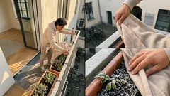 Nachtfrost im März: warum es trotz milder Prognose plötzlich friert